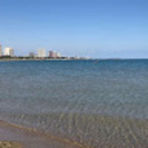 Meet your Posher, Lily